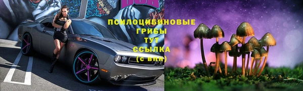 прущая мука Бугульма