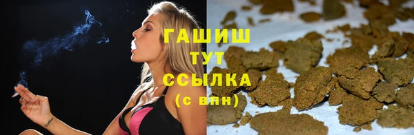 твердый Бородино