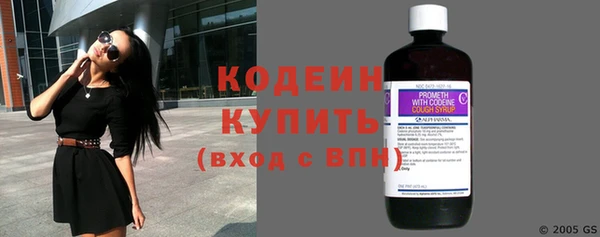 твердый Бородино