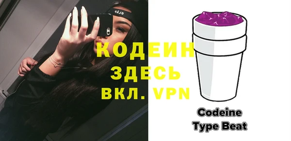 твердый Бородино