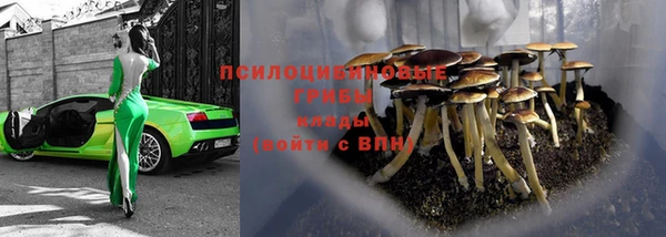 твердый Бородино