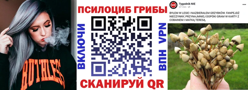 Галлюциногенные грибы MAGIC MUSHROOMS  дарк нет официальный сайт  Городец  KRAKEN ONION 