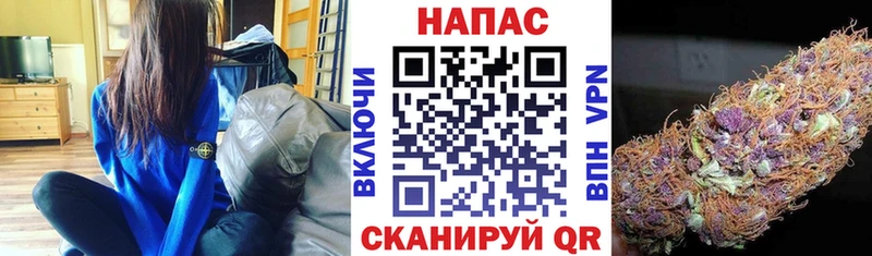 Бошки Шишки Ganja  MEGA   Городец  где найти наркотики 